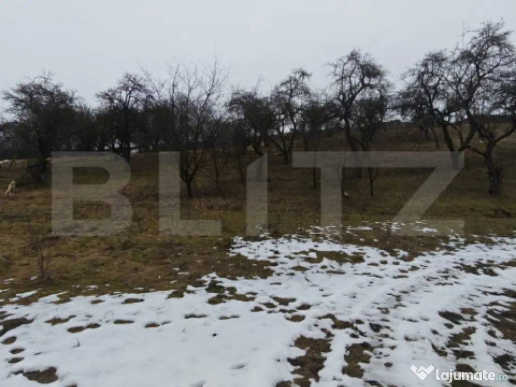 Teren intravilan în Mihai Viteazu, langa Turda, 2 parcele d
