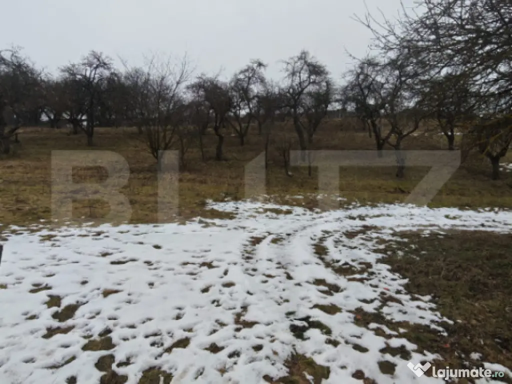 Teren intravilan în Mihai Viteazu, langa Turda, 2 parcele d