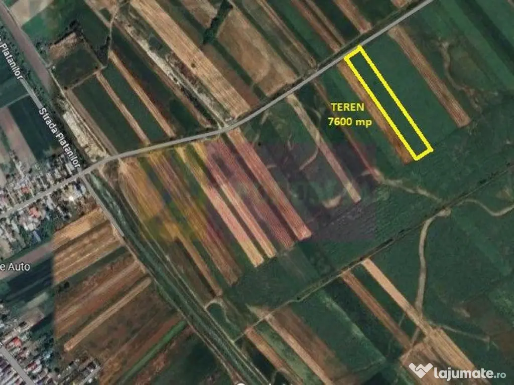 Cosoba, teren 7600 mp intravilan pe str Guliei