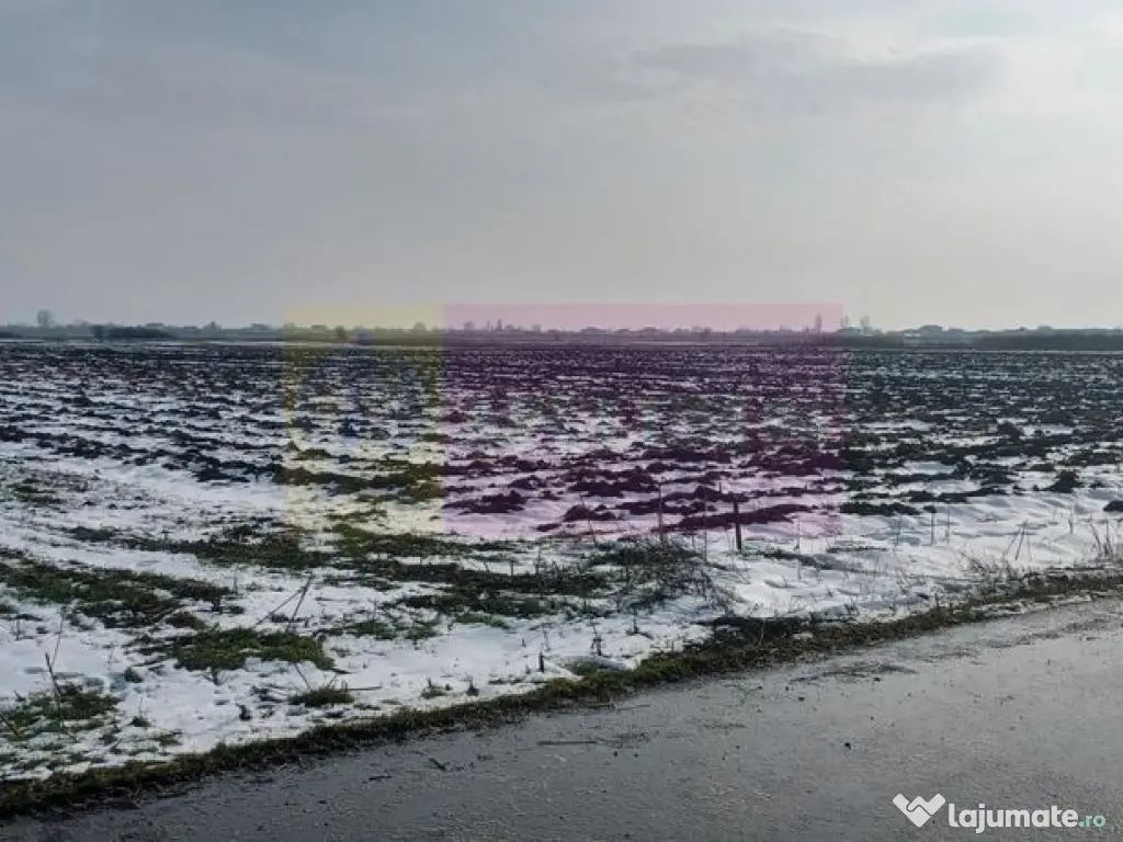 Cosoba, teren 7600 mp intravilan pe str Guliei 