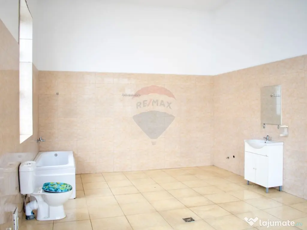 Casă de vânzare cu potențial business – zona Rudului 