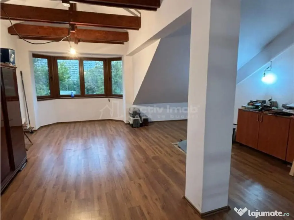 Vila Premium, Robusta, Versatila, Colentina (Parc Plumbuita) 