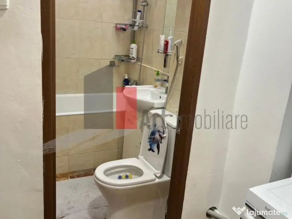 Apartament 2 camere Raul Doamnei 