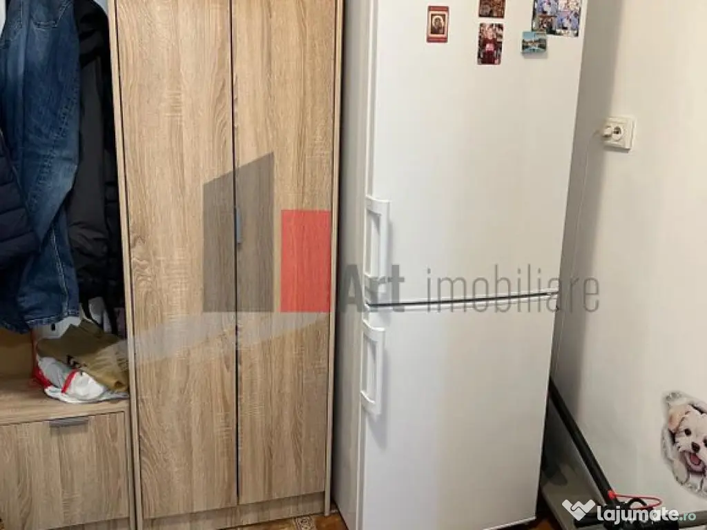 Apartament 2 camere Raul Doamnei 