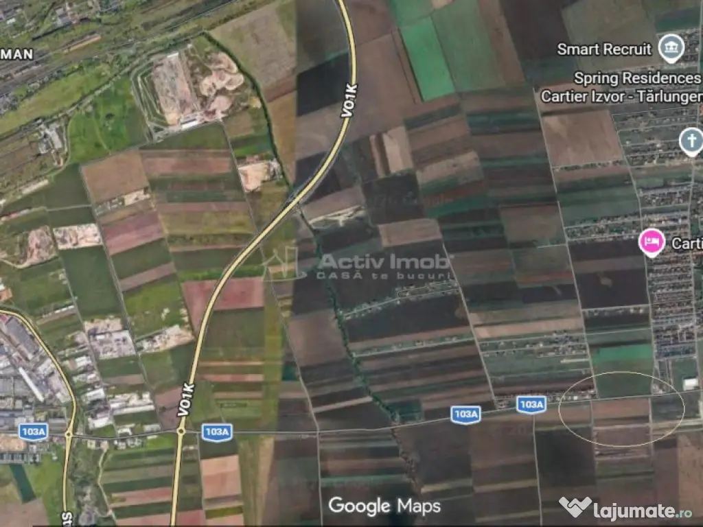 Teren 9000 mp Sacele Izvor, front 356 m la DJ 103A 