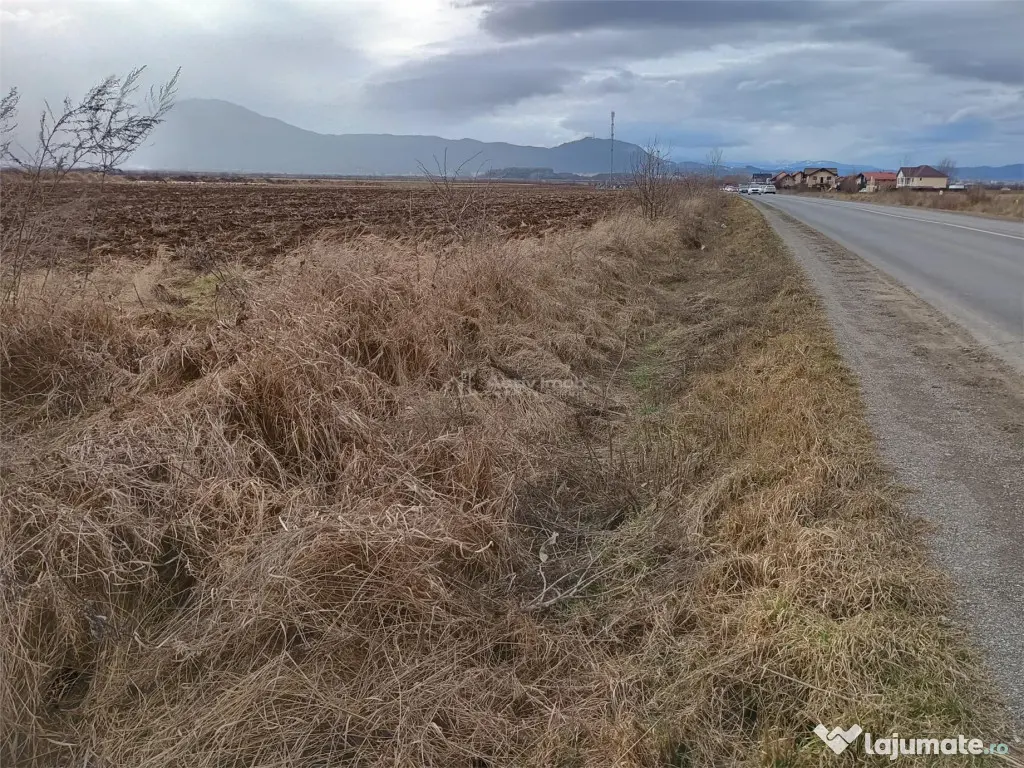 Teren 9000 mp Sacele Izvor, front 356 m la DJ 103A 