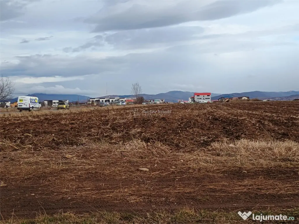 Teren 9000 mp Sacele Izvor, front 356 m la DJ 103A 