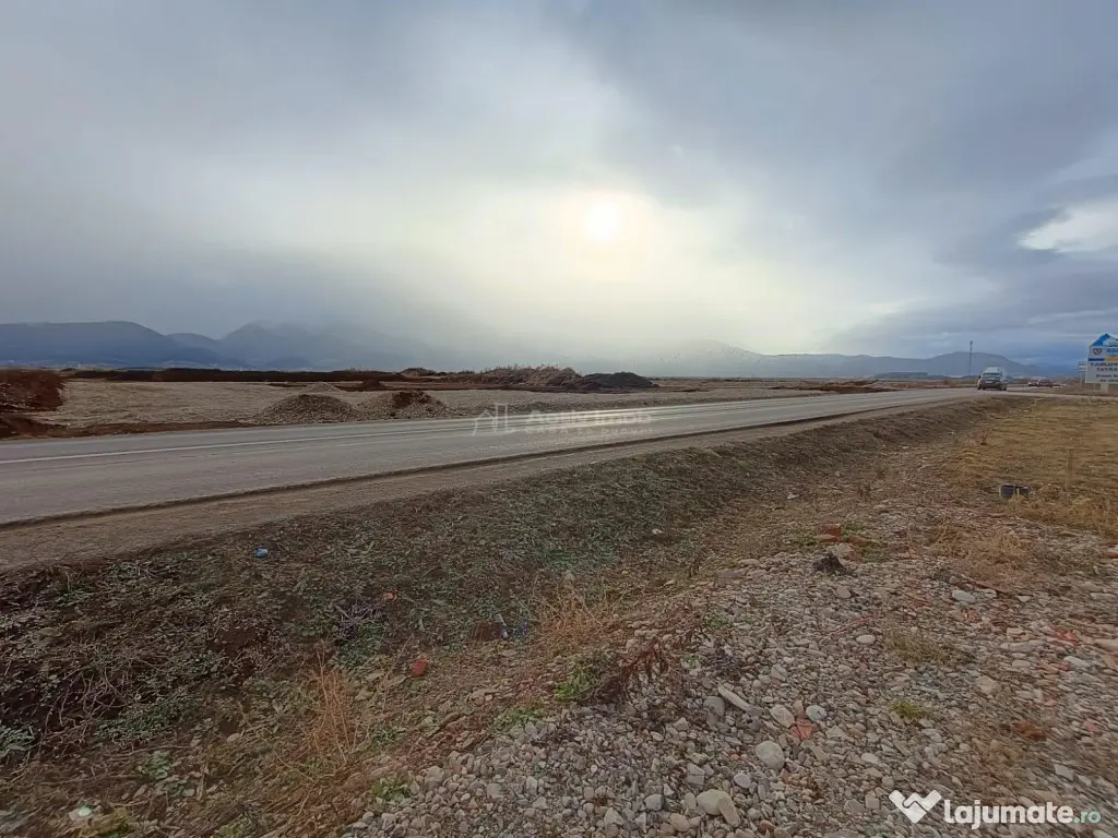 Teren 9000 mp Sacele Izvor, front 356 m la DJ 103A 