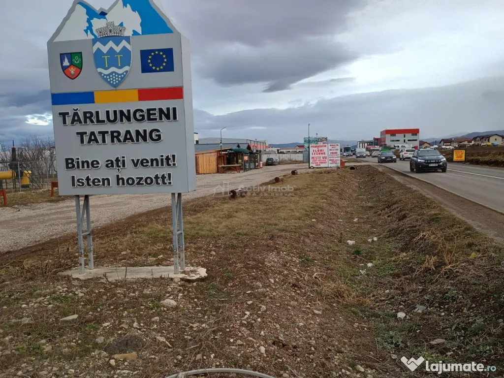 Teren 9000 mp Sacele Izvor, front 356 m la DJ 103A 