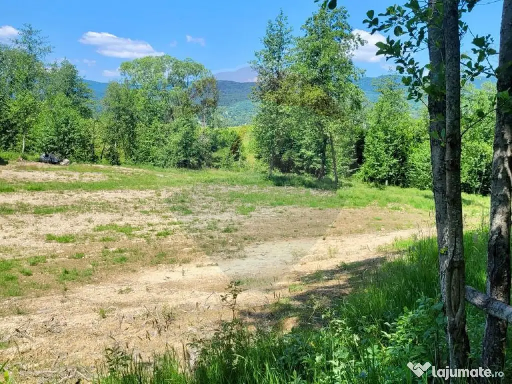 Oază de liniște – teren de vânzare 6.725 mp 