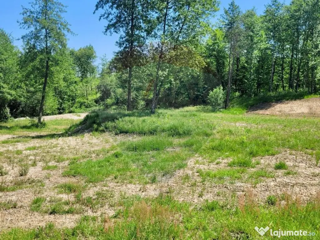 Oază de liniște – teren de vânzare 6.725 mp 