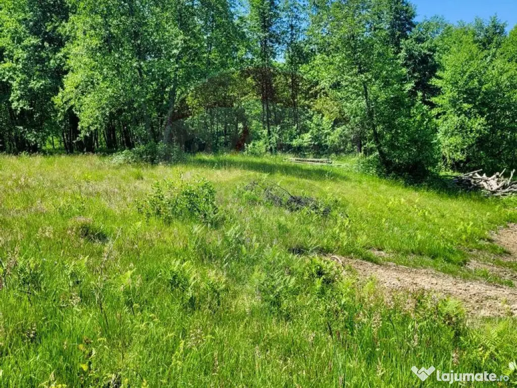 Oază de liniște – teren de vânzare 6.725 mp 