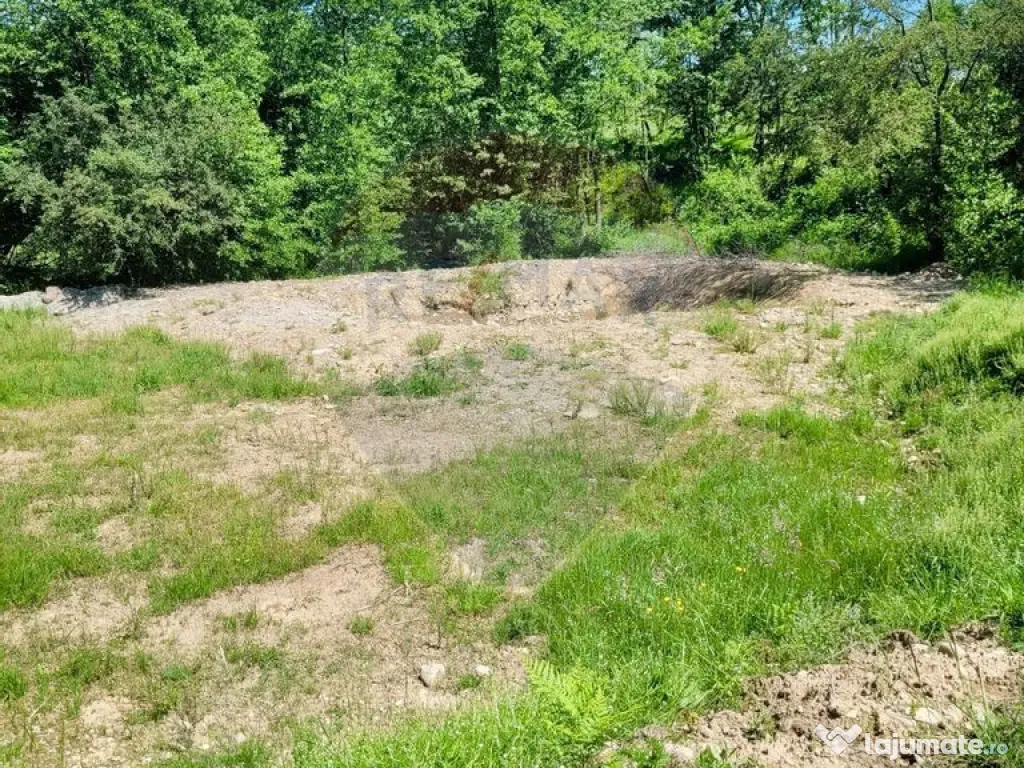 Oază de liniște – teren de vânzare 6.725 mp 