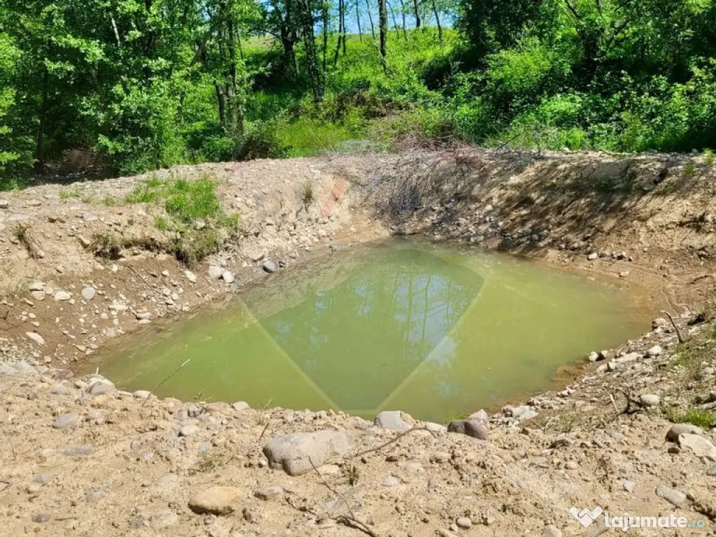 Oază de liniște – teren de vânzare 6.725 mp 