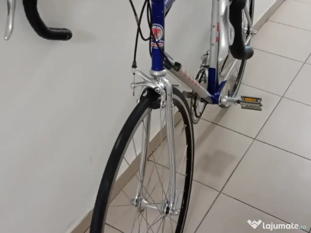 Francesco Moser pe 28