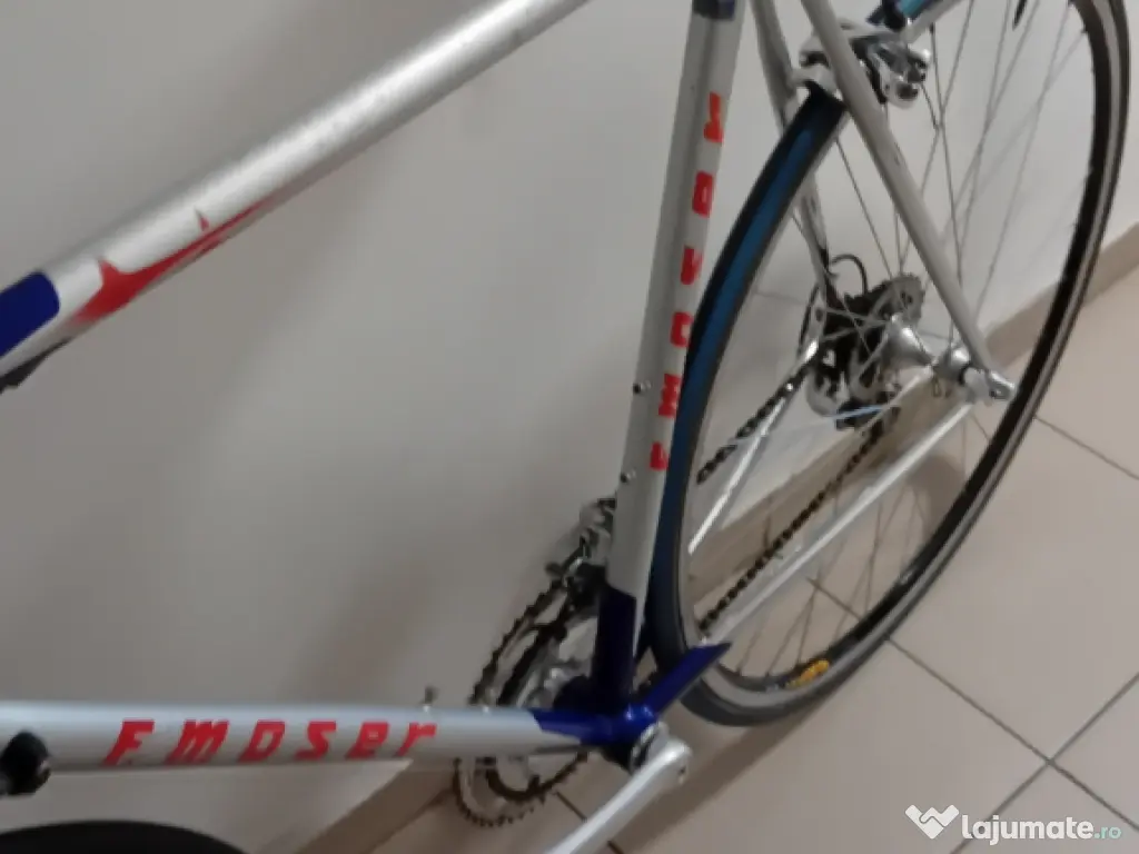 Francesco Moser pe 28