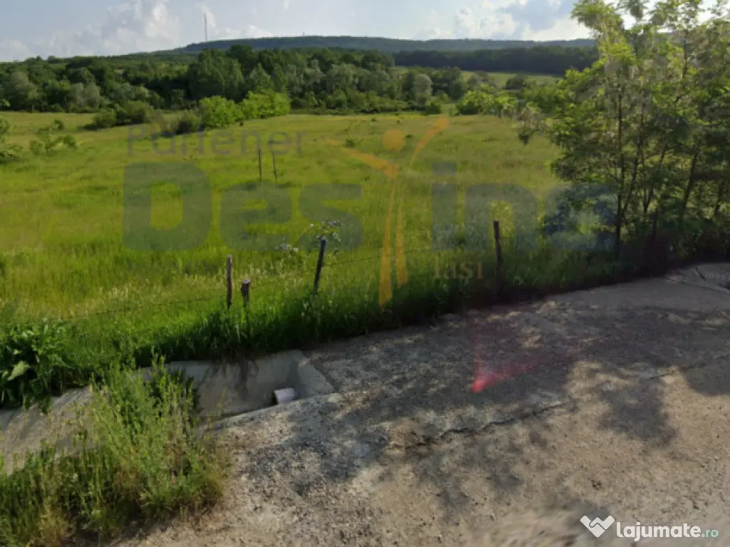 Teren intravilan 8000mp, Comuna Bârnova Iași 