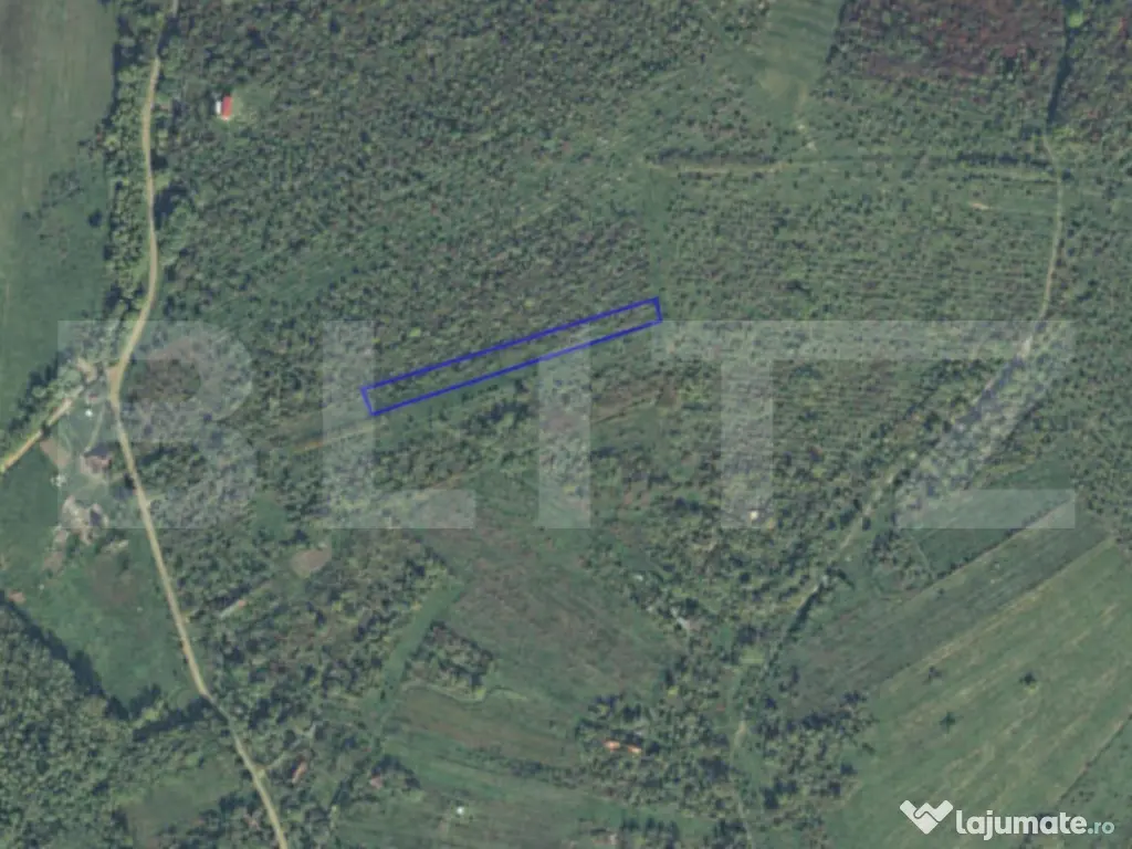 Teren intravilan de vanzare, 2697 mp, in Ardud Vii