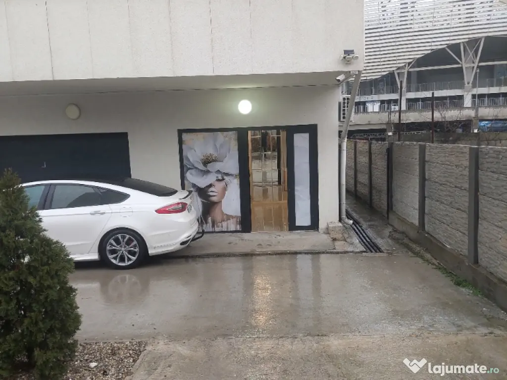 Forme pentru copt silicon 