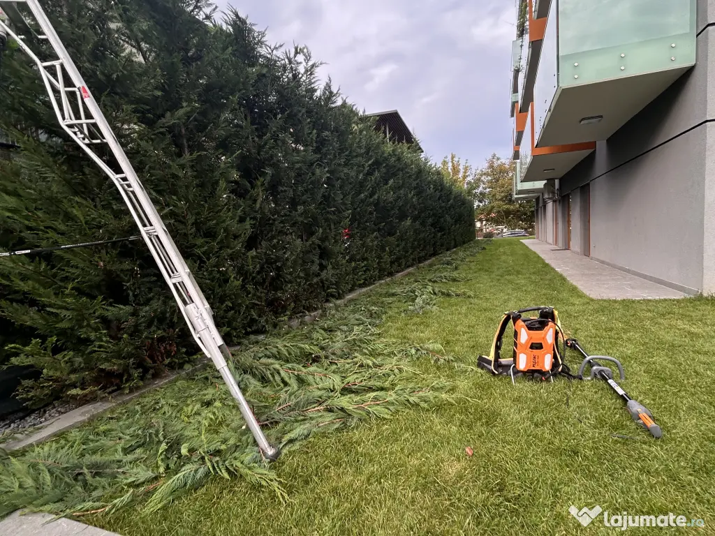 Intretinere Spatii Verzi|Tratamente plante|Montaj Gazon Rulou|Contract&Garantie 