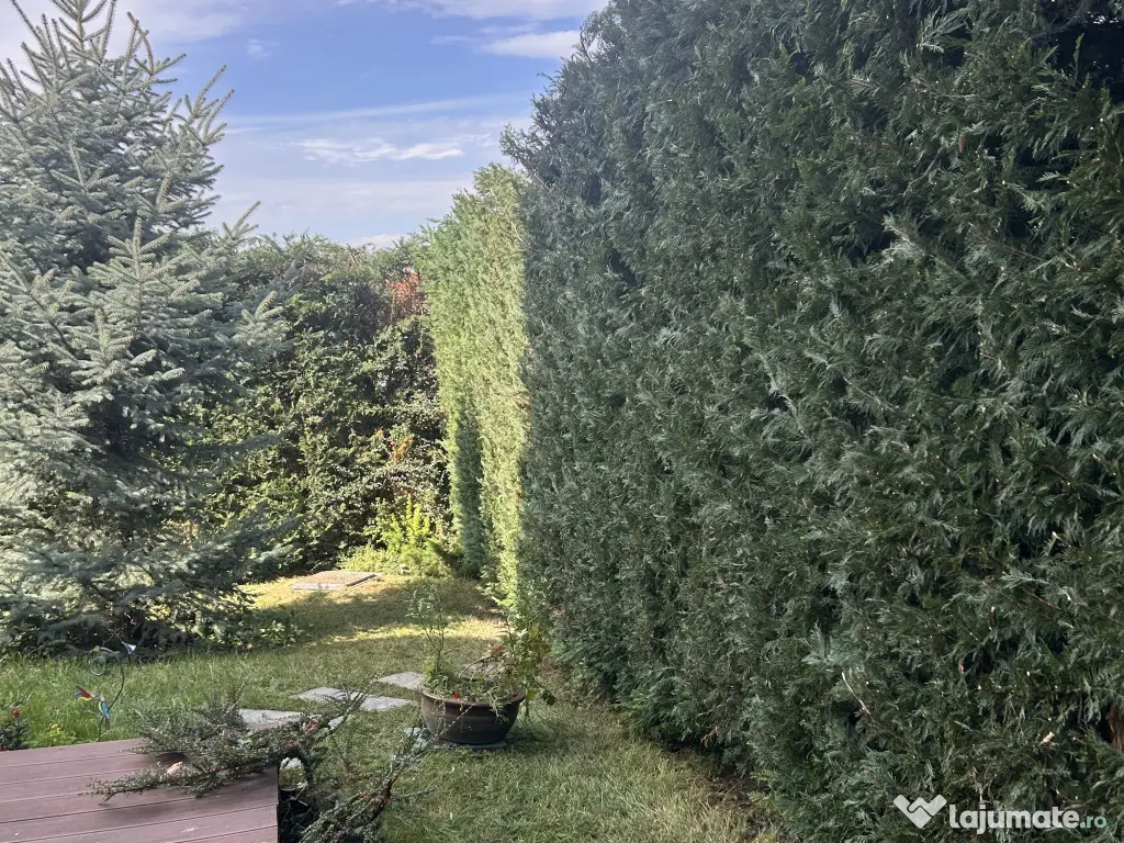 Intretinere Spatii Verzi|Tratamente plante|Montaj Gazon Rulou|Contract&Garantie 