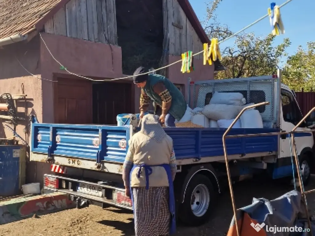 Lemne de foc tăiate și crăpate