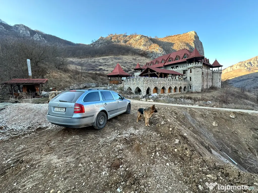 Skoda Octavia 2, 2006, 1.9TDI, 105cp, 290.000km 