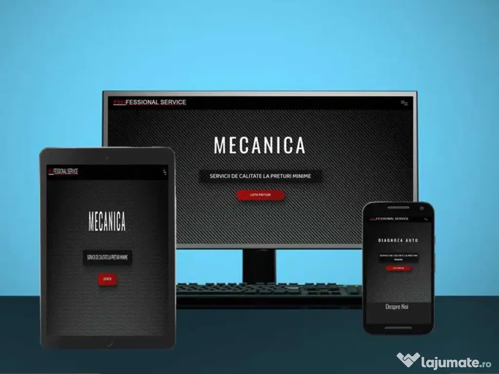 Website-uri si elemente grafice 