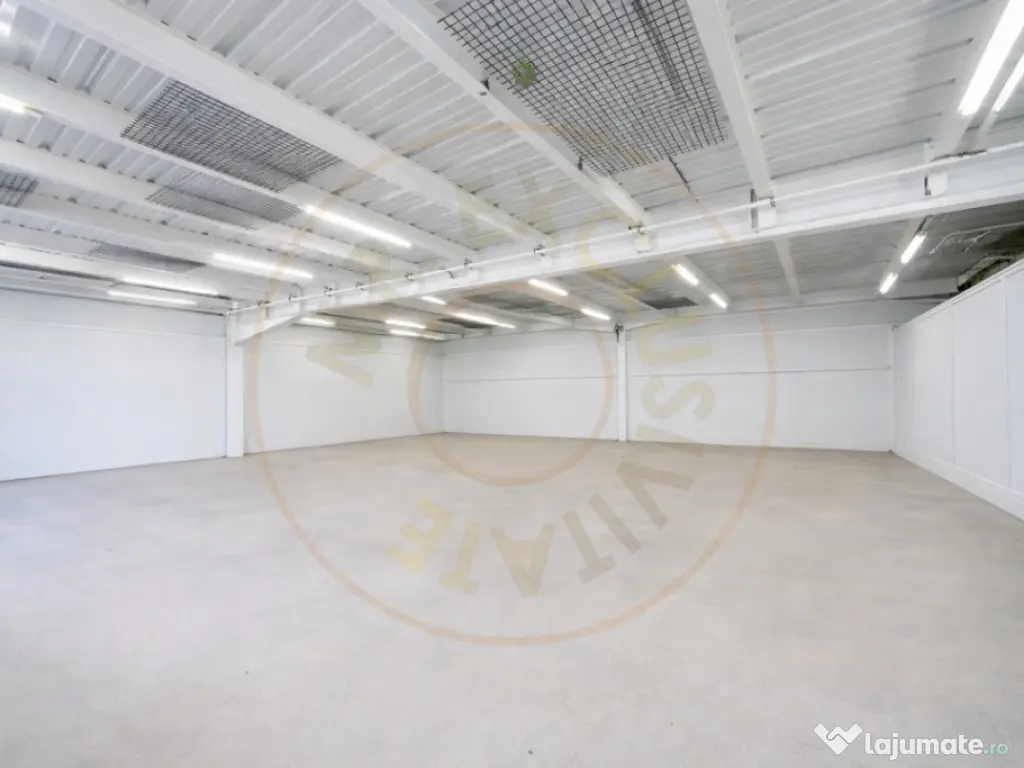 Hală industrială / spațiu comercial – VÂNZARE – DN 6