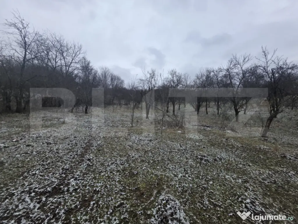 Teren intravilan, 9066 mp, zona Aninoasa 