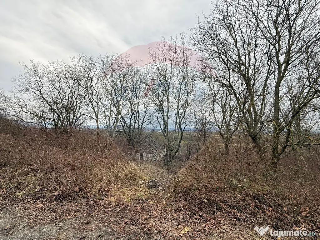 DE VANZARE Teren Strada Victoriei Baia Mare 