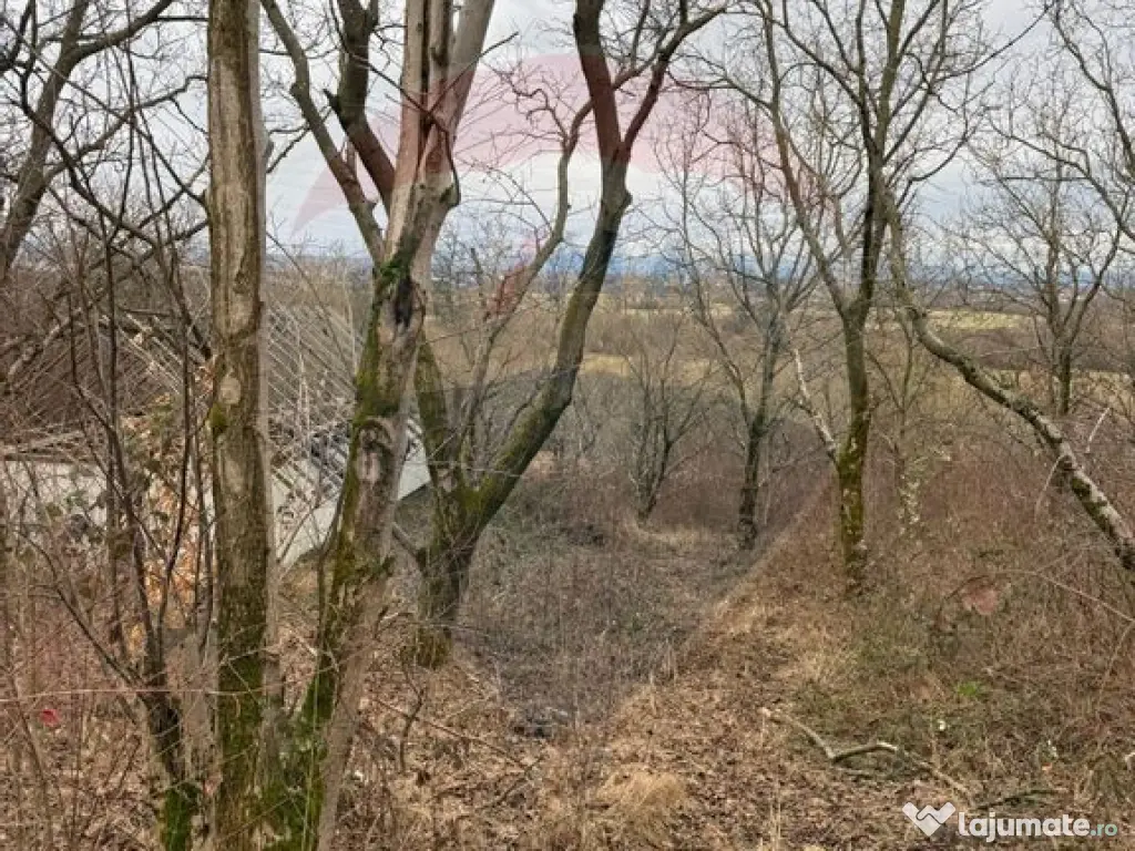 DE VANZARE Teren Strada Victoriei Baia Mare 