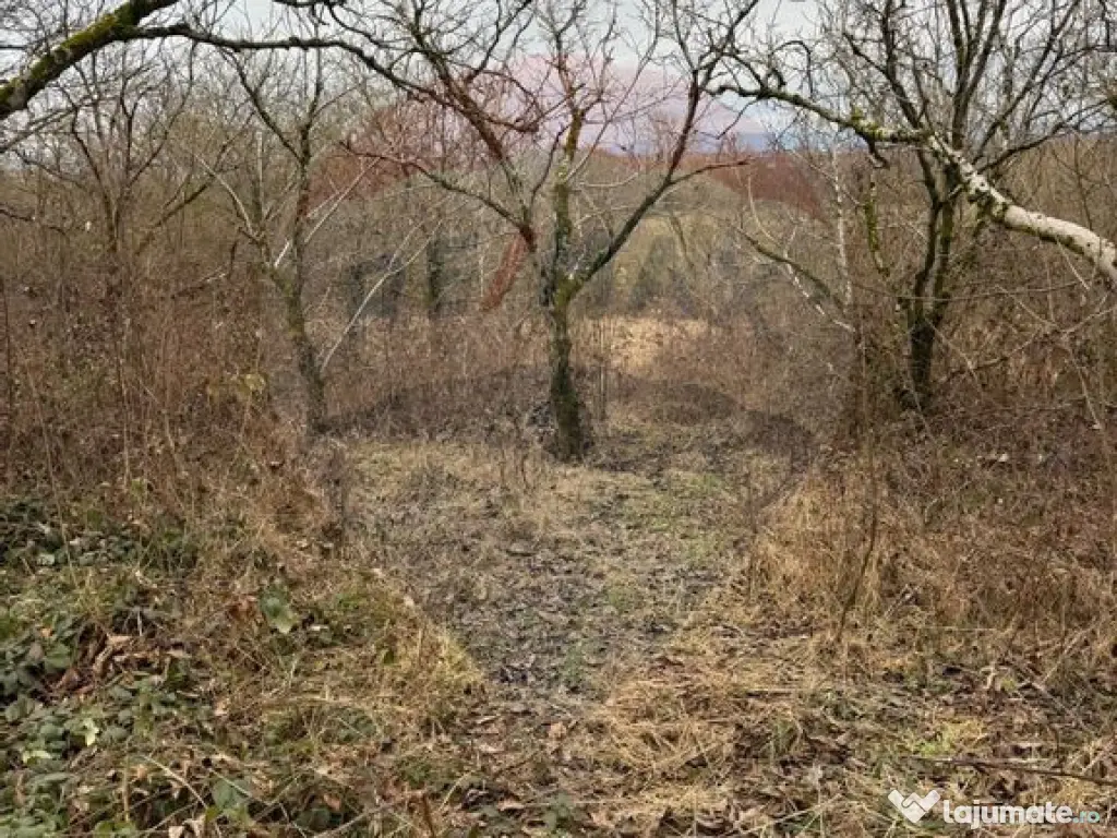 DE VANZARE Teren Strada Victoriei Baia Mare 