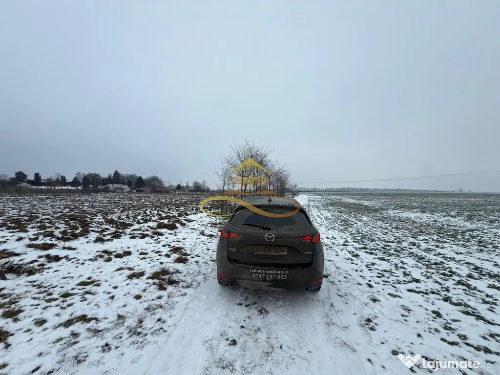 Teren agricol extravilan in Itesti de vanzare 