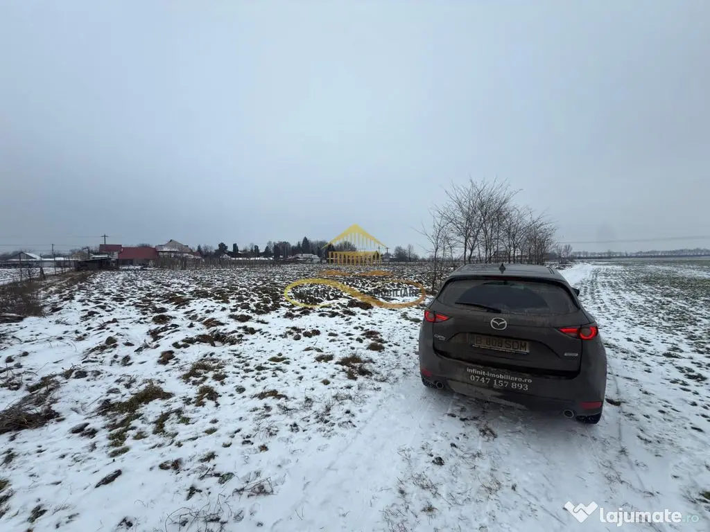 Teren agricol extravilan in Itesti de vanzare 