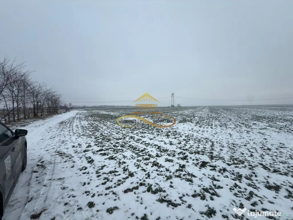 Teren agricol extravilan in Itesti de vanzare 