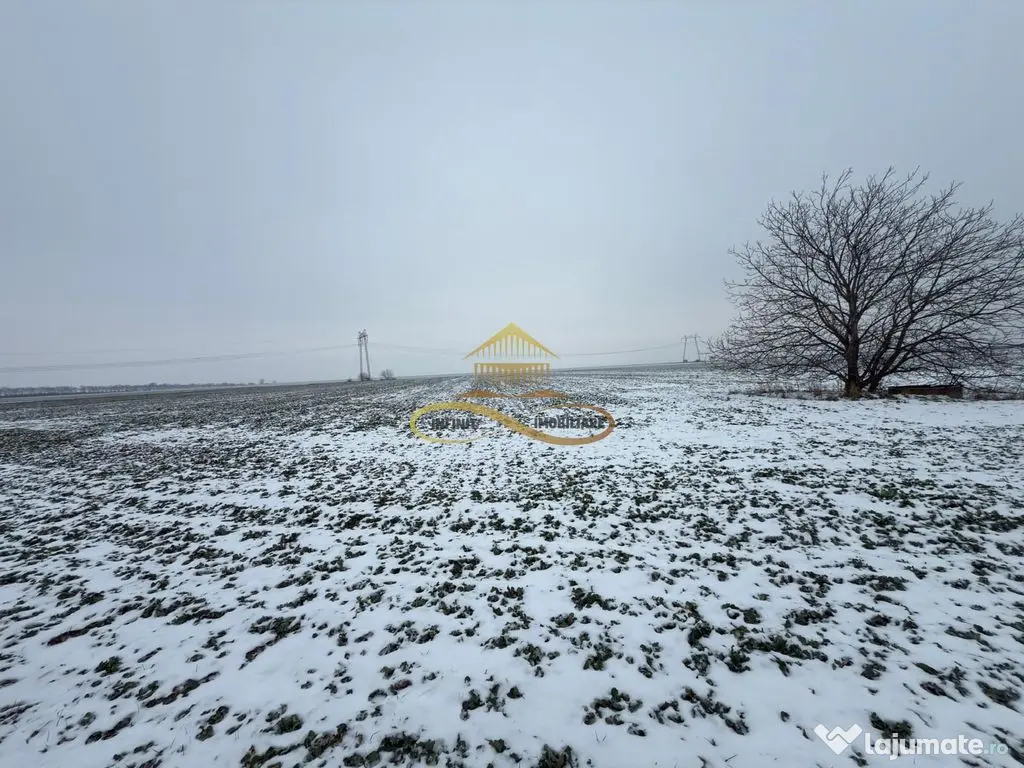 Teren agricol extravilan in Itesti de vanzare 