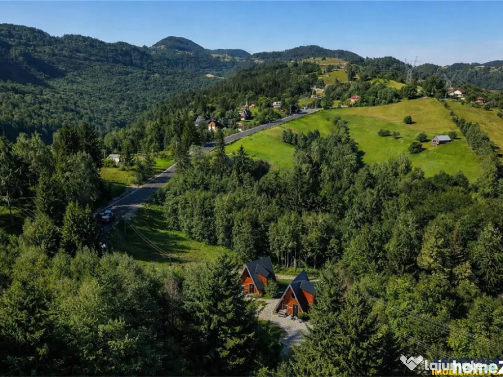 3 rezidente elegante, tip A frame, constructie 2025, Moieciu