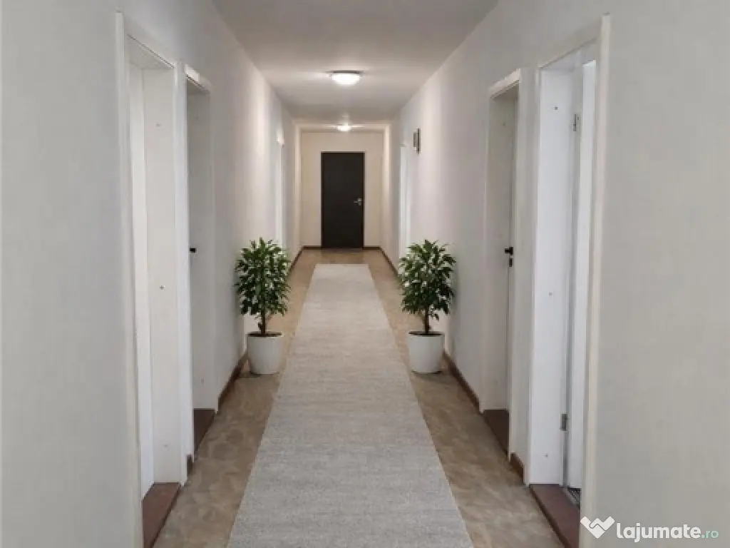 Hala industriala versatila,spatii cazare, platforma betonata 