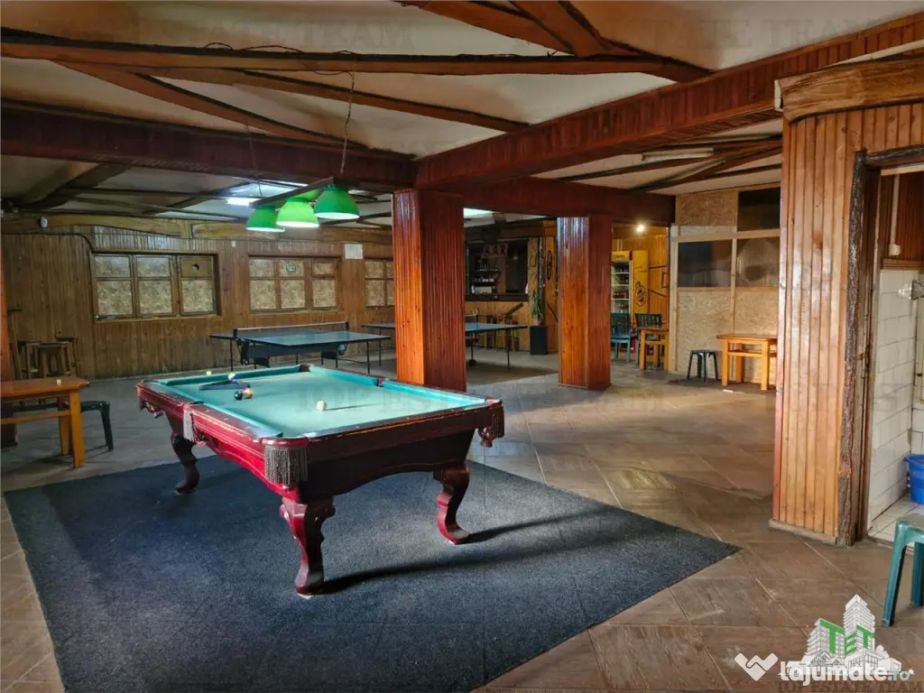 Vila unica de cu destinatie de locuinta si spatii comercial 