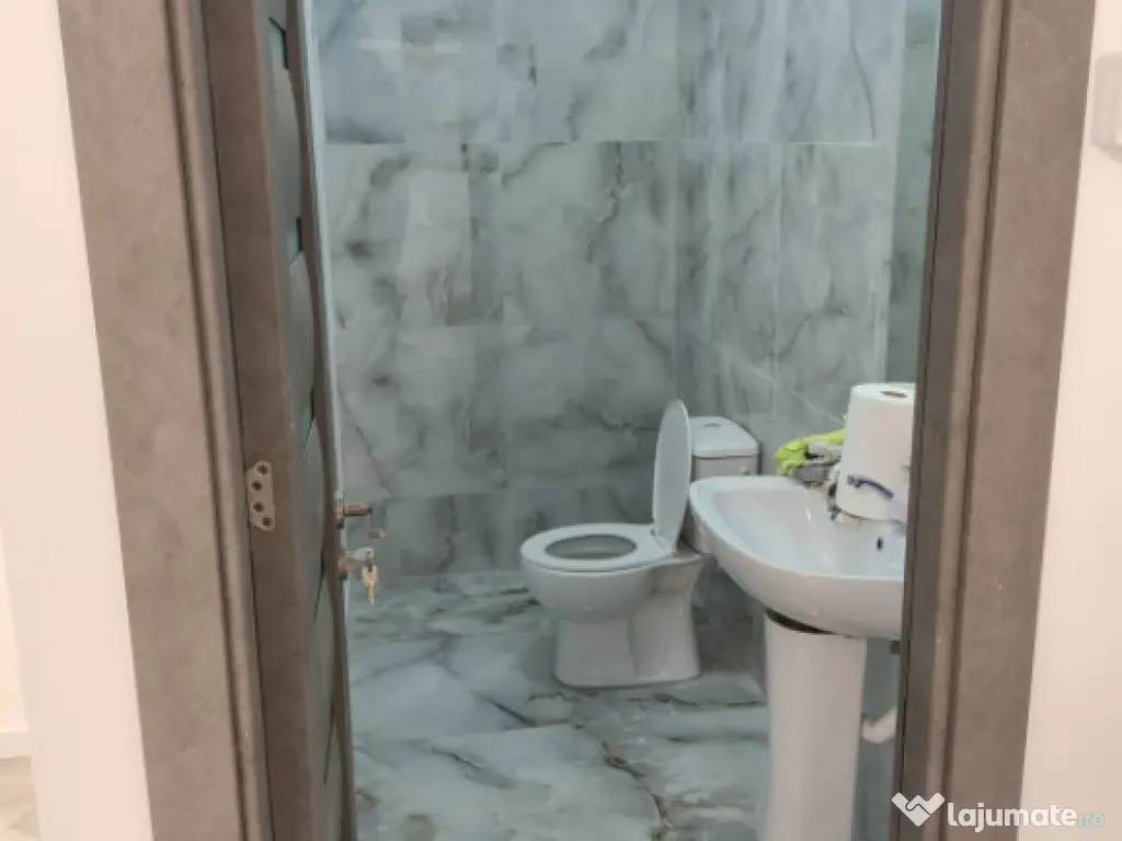 Spatiu comercial, 56 mp, Brazda lui Novac 