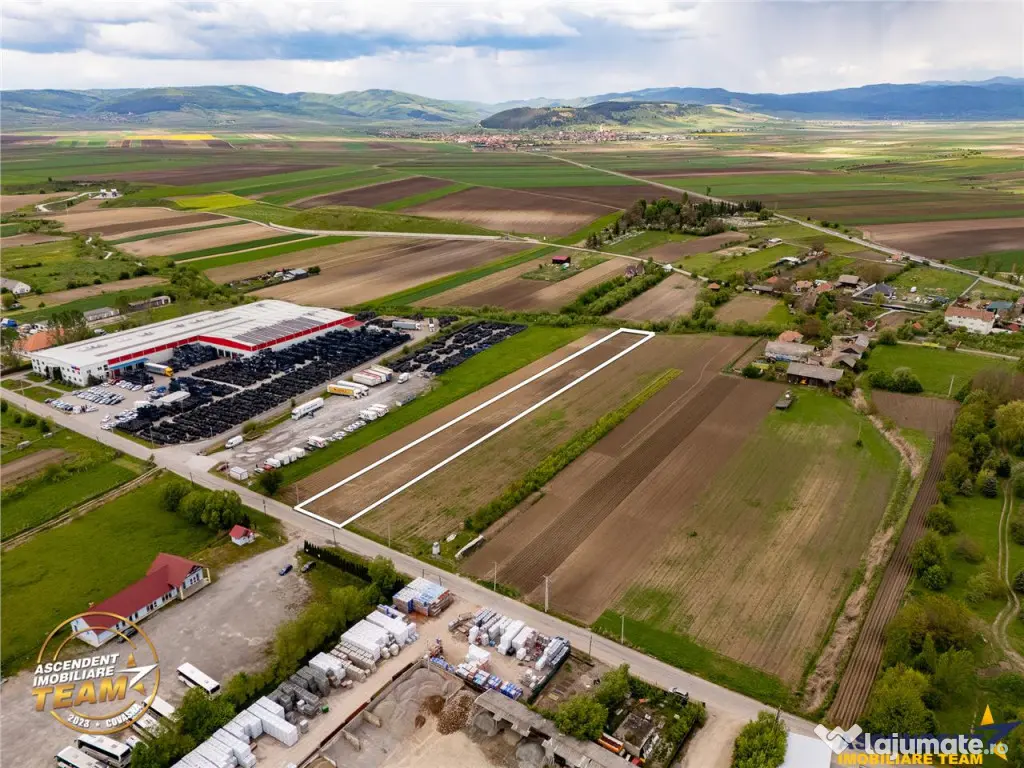 FILM! 5.000 mp teren, la marginea orasului Targu Secuiesc, a