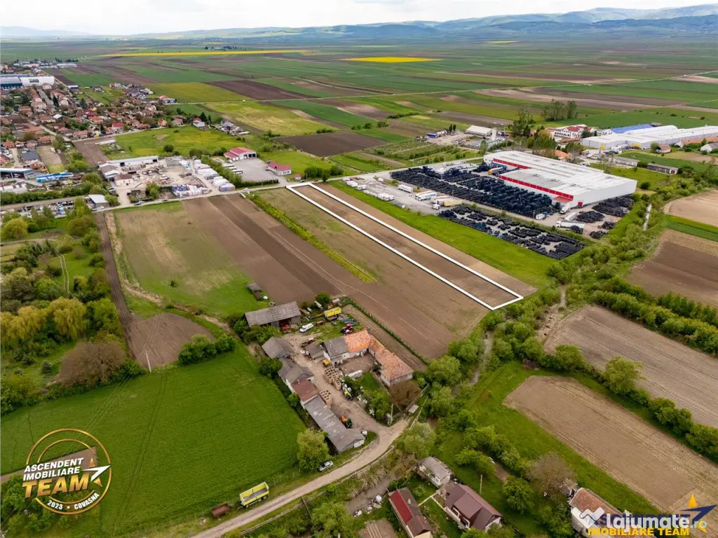 FILM! 5.000 mp teren, la marginea orasului Targu Secuiesc, a