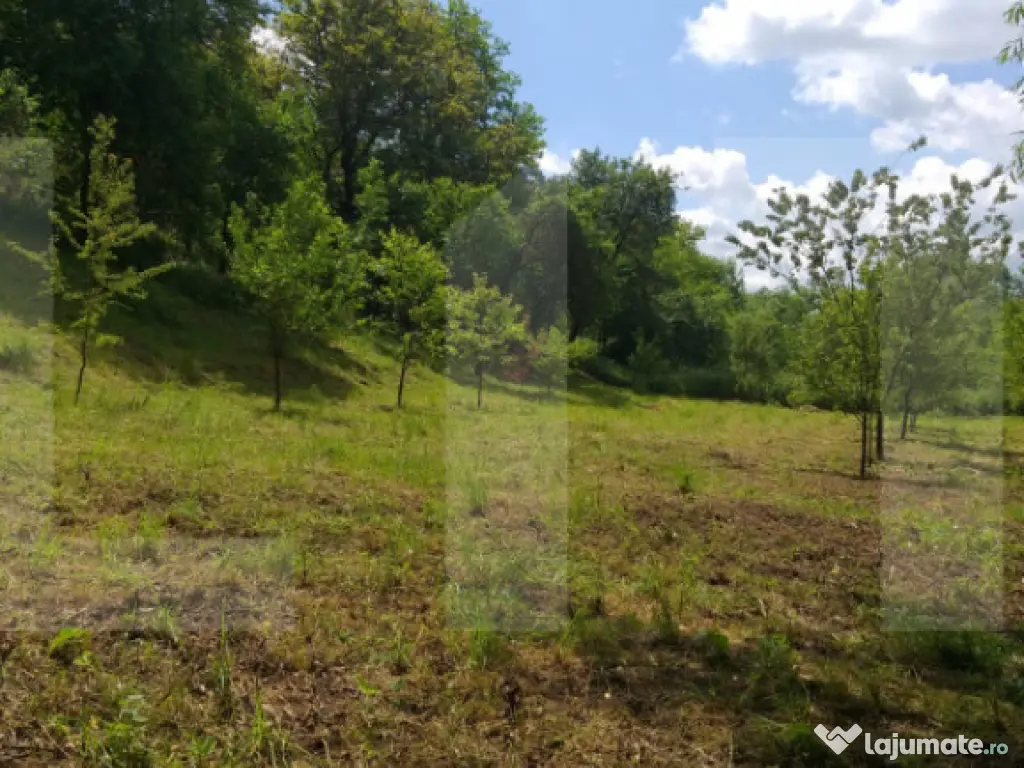 Exclusivist! Teren intravilan de 2800mp cu cascada in Micest