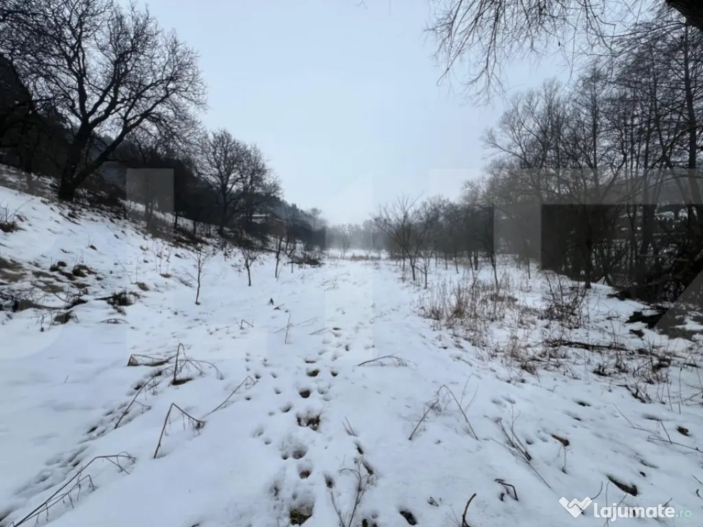 Exclusivist! Teren intravilan de 2800mp cu cascada in Micest