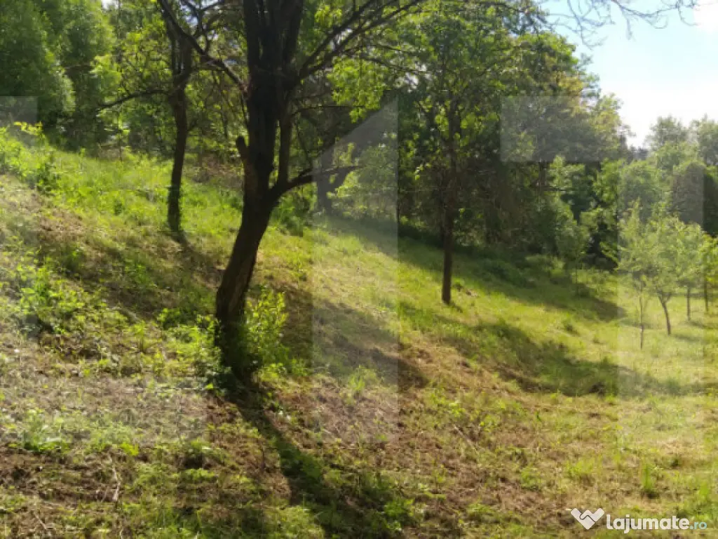 Exclusivist! Teren intravilan de 2800mp cu cascada in Micest