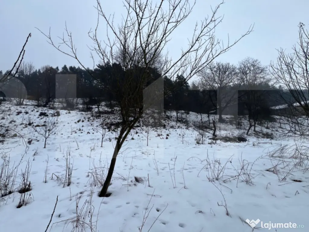 Exclusivist! Teren intravilan de 2800mp cu cascada in Micest