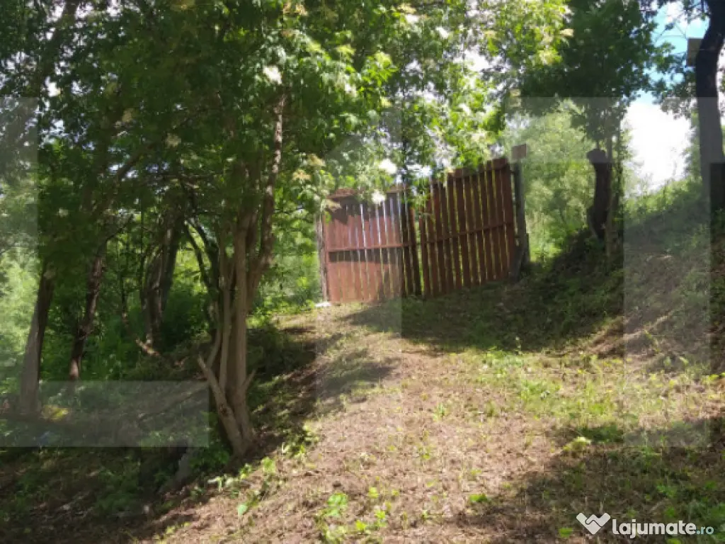 Exclusivist! Teren intravilan de 2800mp cu cascada in Micest