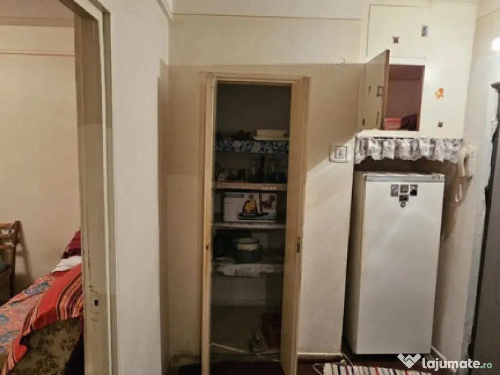 NORD-Cameliei cub, 2cam, cf1, dec, 3/4, f.imb - 48000 euro