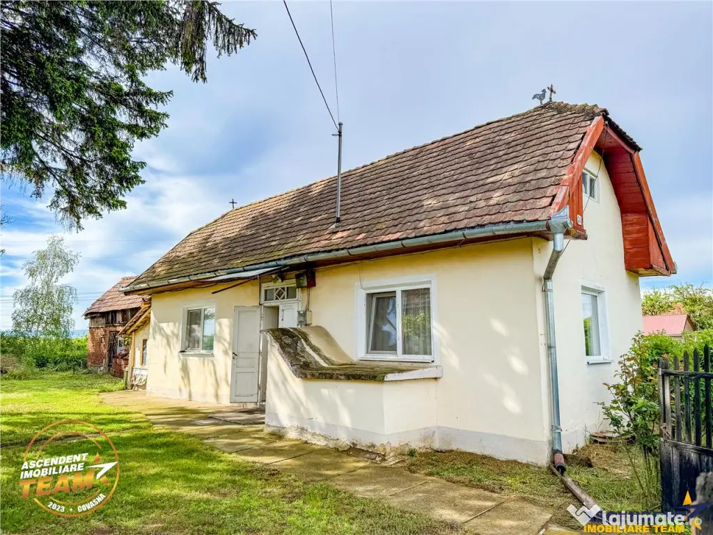 FILM! Casa pitoreasca anexe 1.500mp teren, Santionlunca, 